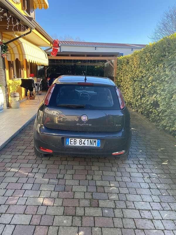 Usata Fiat Punto Evo Dynamic 77 CV (56 kW) 2010 Utilitaria
