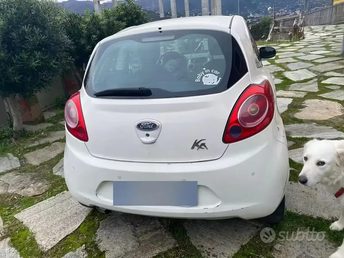 Usata Ford Ka 69 CV (50 kW) 2009 Bianco Utilitaria