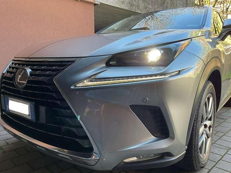 Usata Lexus NX300h Executive Line 197 CV (144 kW) 2018 Grigio SUV