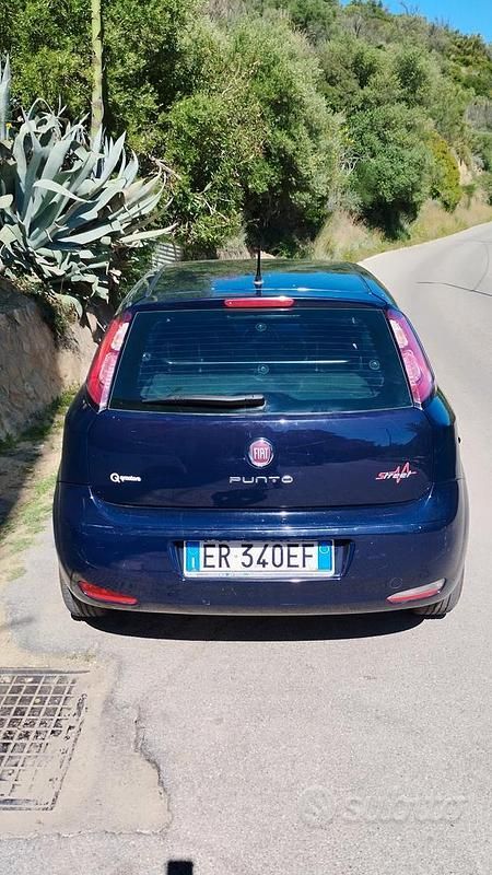 Usata Fiat Punto Street 75 CV (55 kW) 2014 Utilitaria