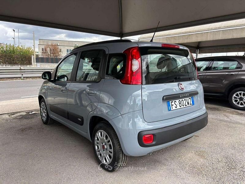 Usata Fiat Panda Easy 69 CV (50 kW) 2019 Grigio Utilitaria