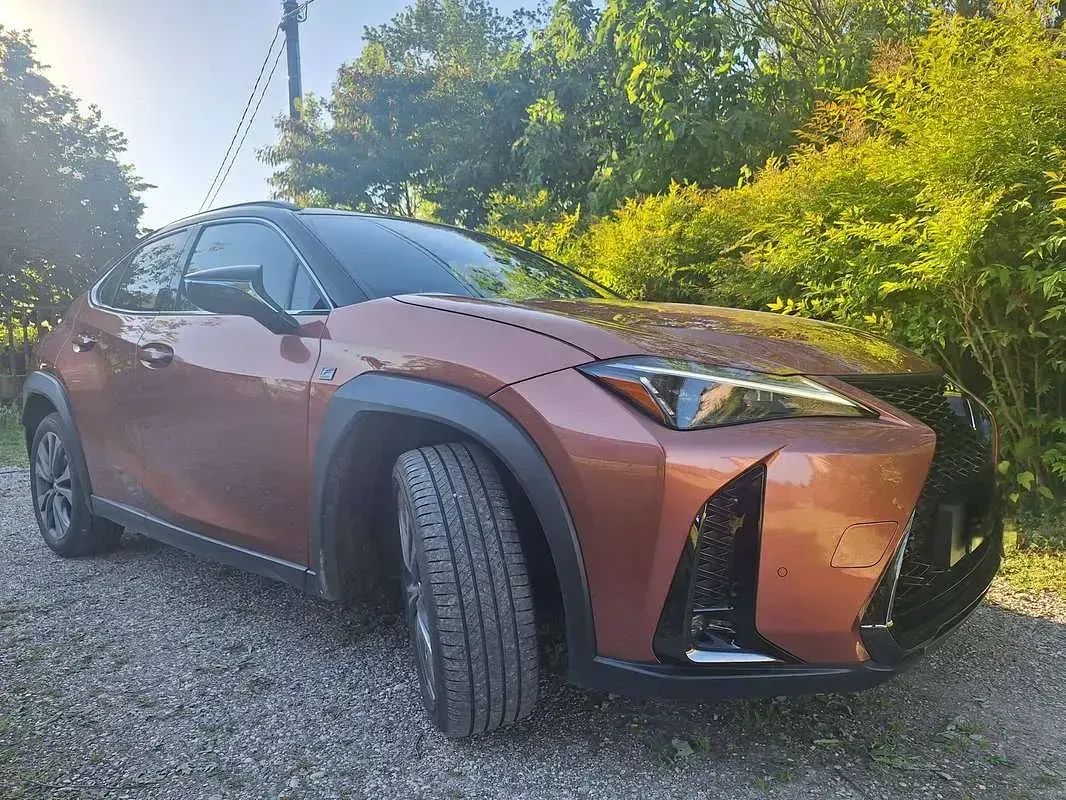 Usata Lexus UX 300h 152 CV (111 kW) 2024 Bronzo SUV