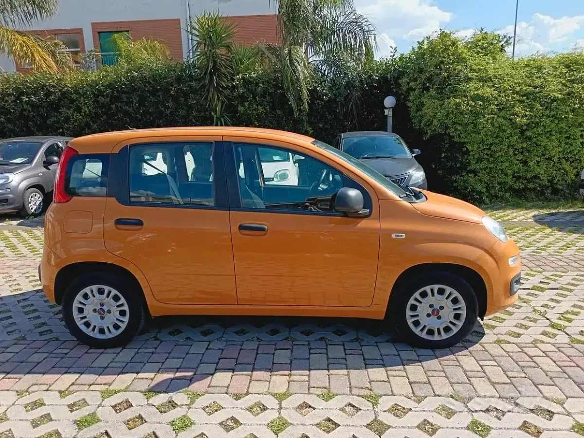 Usata Fiat Panda Easy 69 CV (50 kW) 2020 Arancione Utilitaria