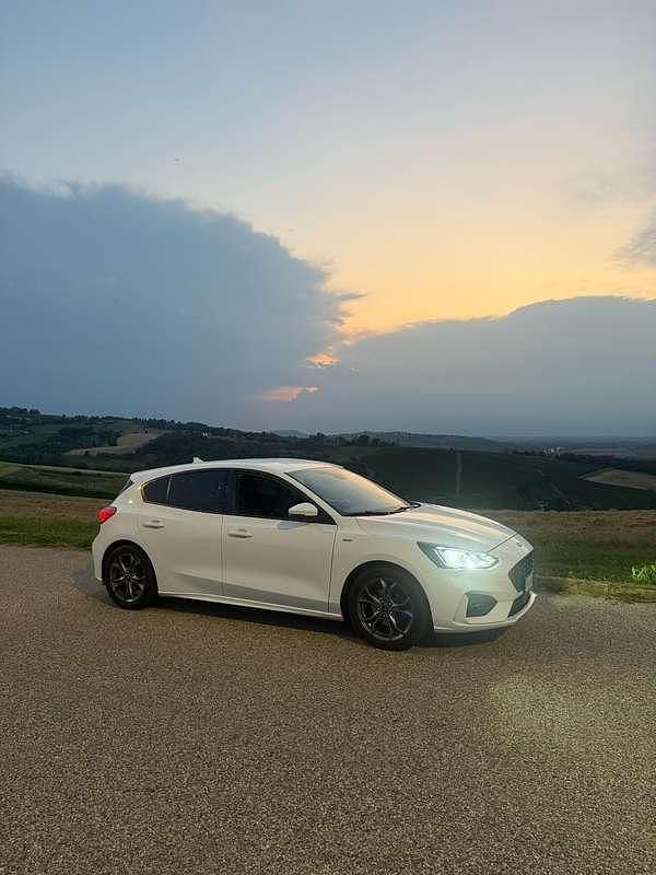Usata Ford Focus ST-Line 125 CV (91 kW) 2019 Bianco Berlina