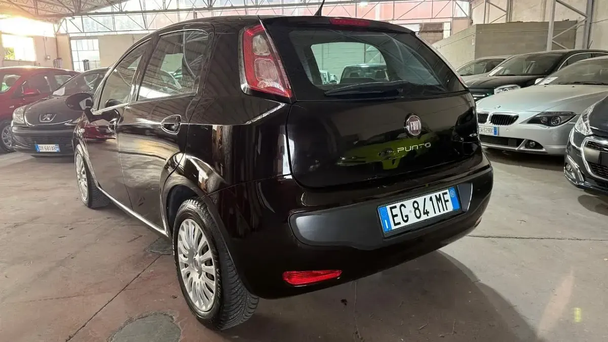 Usata Fiat Punto Active 69 CV (50 kW) 2011 Marrone Utilitaria