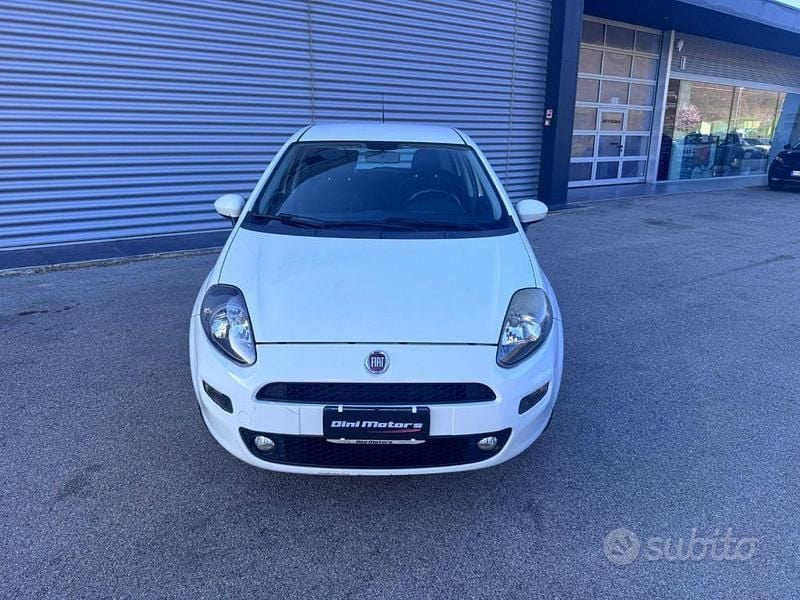 Usata Fiat Punto Lounge 77 CV (56 kW) 2014 Bianco Utilitaria