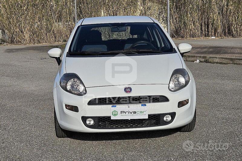 Usato 2013 Fiat Punto 1.3 Diesel 75 CV (4.490 €)
