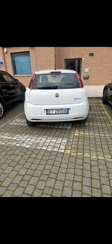 Usata Fiat Punto Easy 75 CV (55 kW) 2013 Bianco Utilitaria