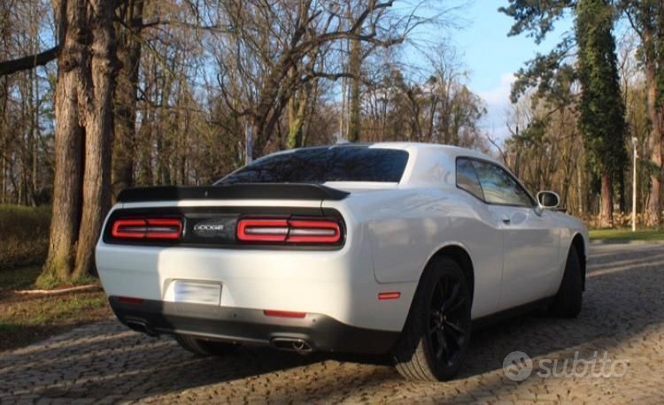 Usata Dodge Challenger 2017 Bianco Coupé
