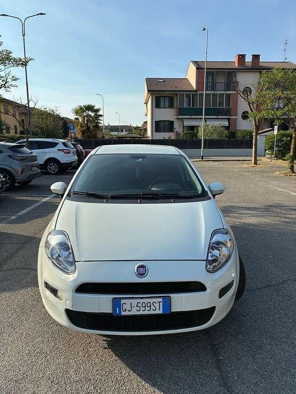 Usata Fiat Punto Lounge 77 CV (56 kW) 2014 Utilitaria