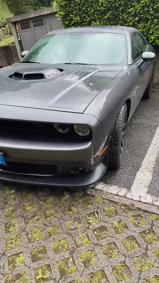 Usata Dodge Challenger 2015 Coupé