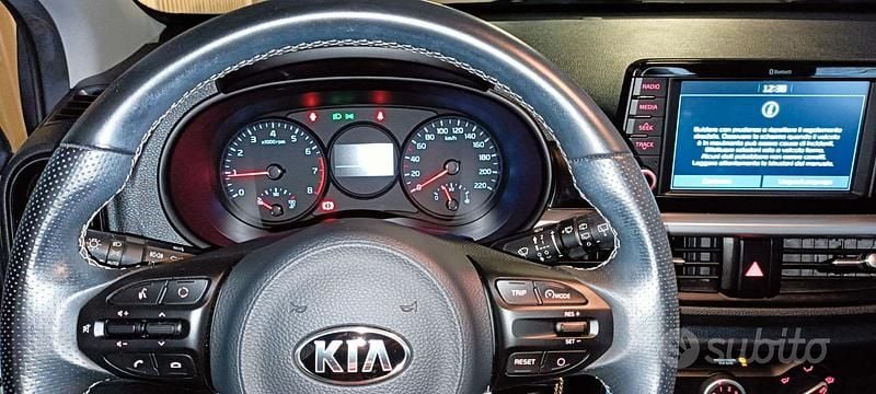 Usata Kia Picanto X-Line 67 CV (49 kW) 2020 Bianco Utilitaria
