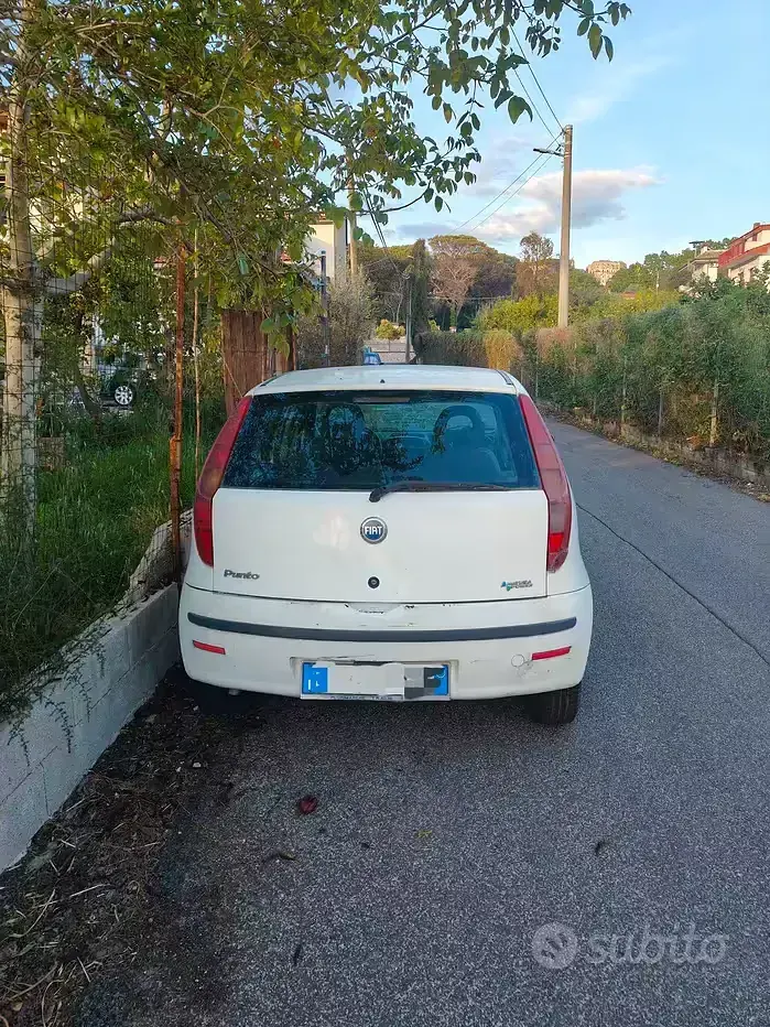 Usata Fiat Punto 60 CV (44 kW) 2007 Bianco Utilitaria