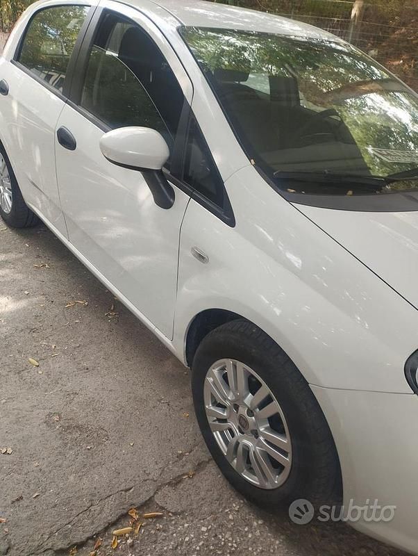 Usata Fiat Punto 75 CV (55 kW) 2015 Utilitaria