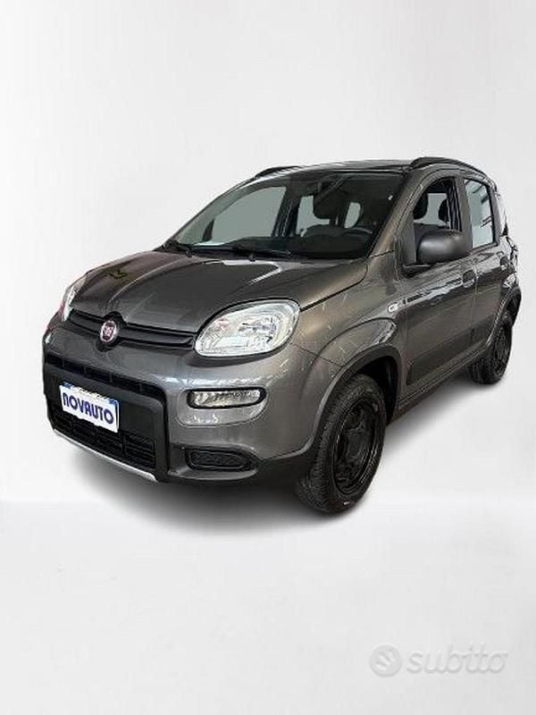 Usata Fiat Panda 4x4 S 86 CV (63 kW) 2020 Grigio Utilitaria