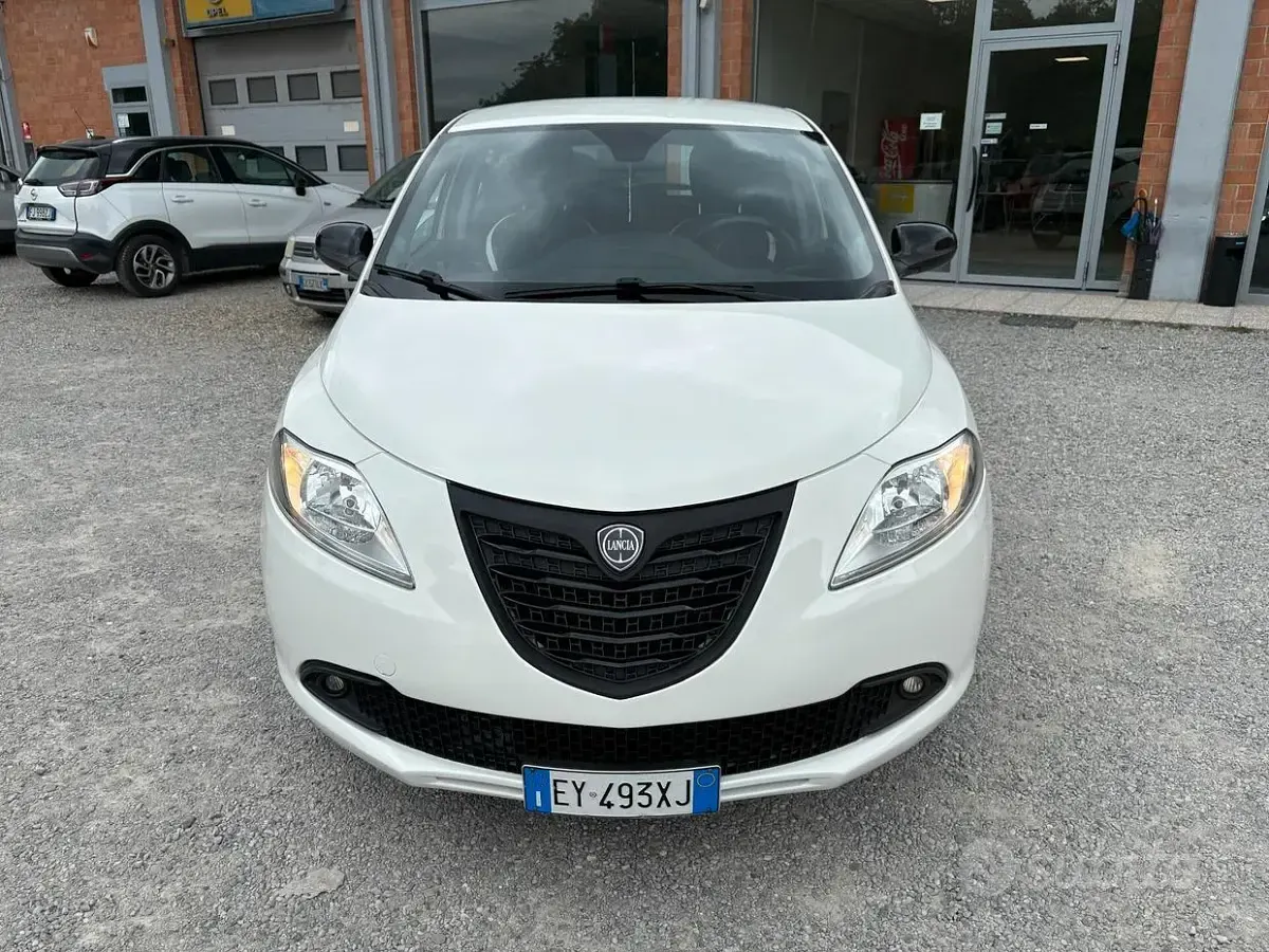 Usata Lancia Ypsilon 85 CV (62 kW) 2015 Bianco Utilitaria