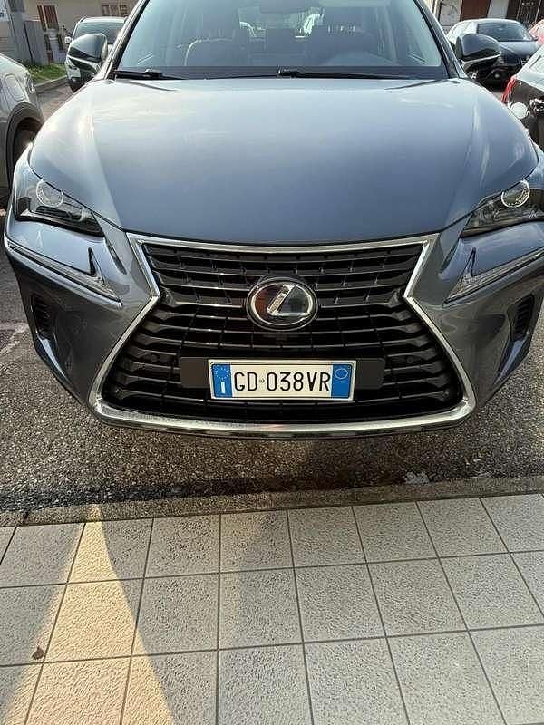Usata Lexus NX300h 155 CV (114 kW) 2021 Grigio SUV