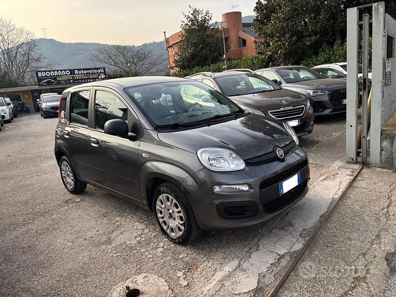 Usata Fiat Panda Easy 69 CV (50 kW) 2019 Grigio Utilitaria