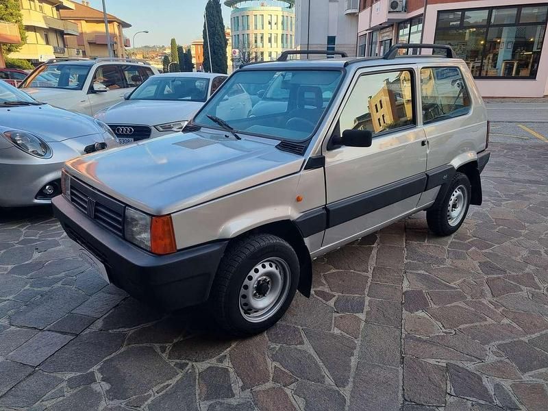 Usata Fiat Panda 4x4 Climbing 54 CV (39 kW) 2002 Argento Utilitaria