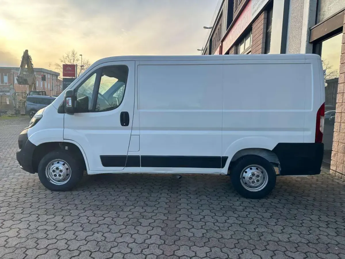 Usata Fiat Ducato S 120 CV (88 kW) 2020 Bianco Furgone