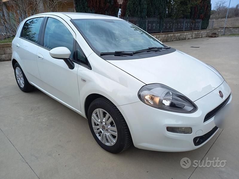 Usata Fiat Punto Lounge 75 CV (55 kW) 2014 Bianco Utilitaria
