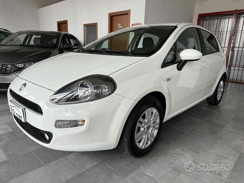 Usata Fiat Punto Lounge 75 CV (55 kW) 2014 Bianco Utilitaria
