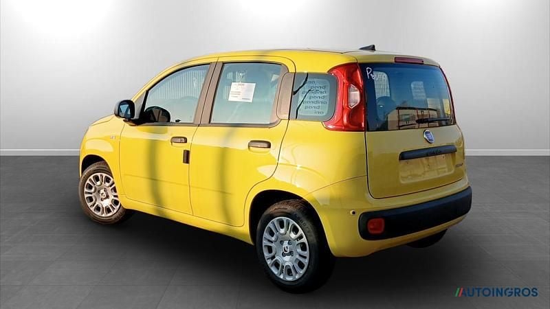 Nuova Fiat Panda Icon 69 CV (50 kW) 2025 Giallo Utilitaria