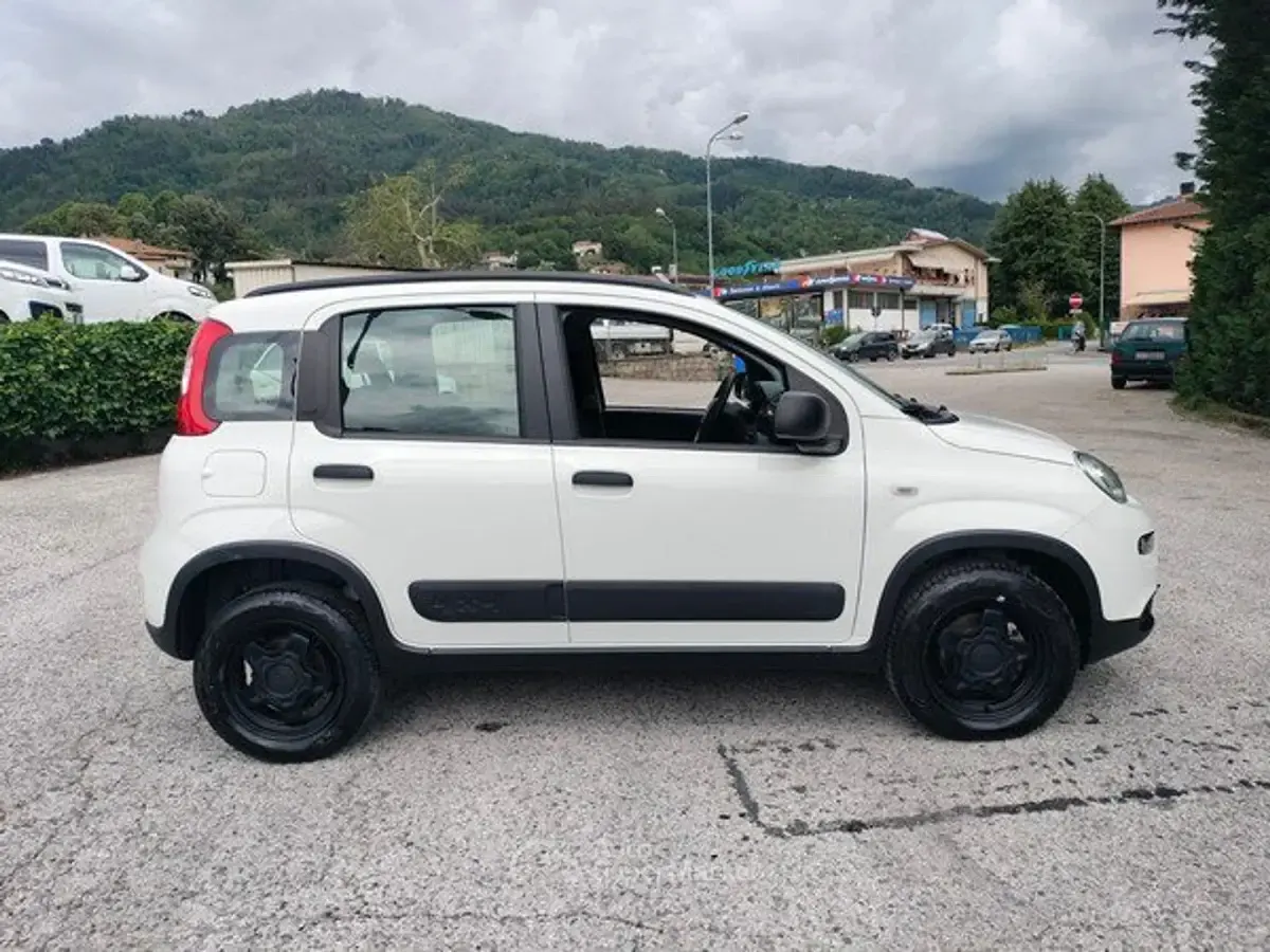 Usata Fiat Panda 4x4 S 86 CV (63 kW) 2020 Bianco Utilitaria