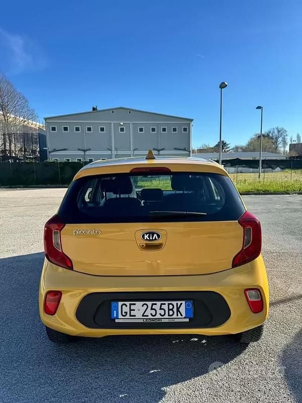 Usata Kia Picanto X-Line 67 CV (49 kW) 2021 Giallo Utilitaria