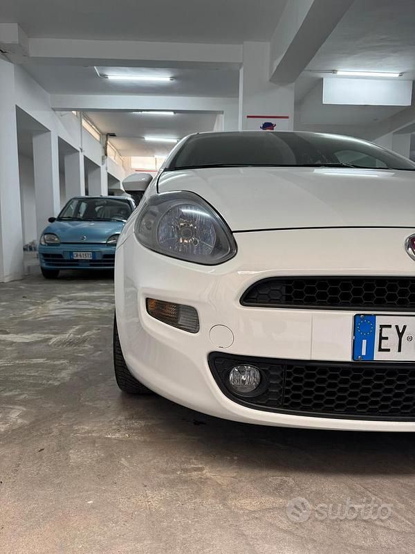 Usata Fiat Punto Young 85 CV (62 kW) 2015 Bianco Berlina