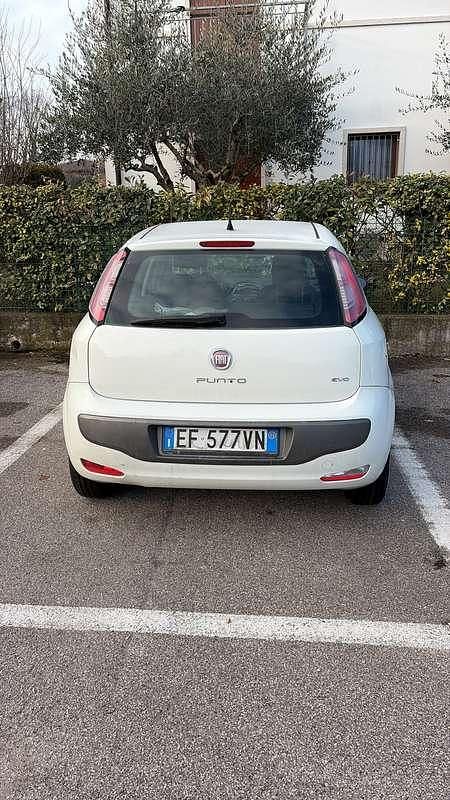 Usata Fiat Punto Evo S 75 CV (55 kW) 2011 Utilitaria