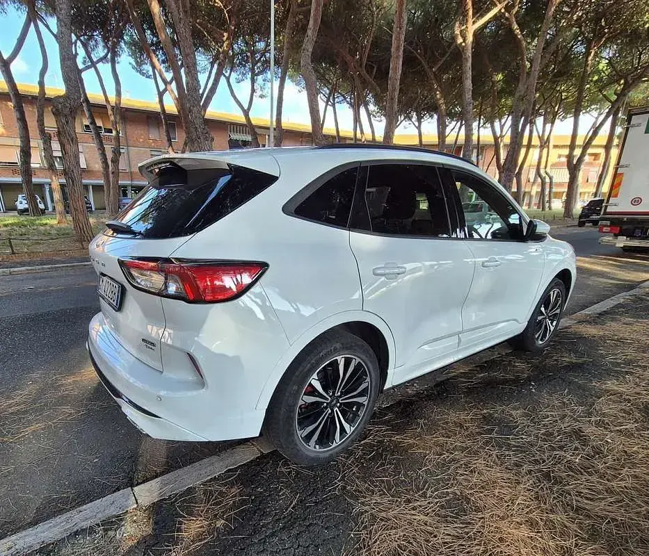 Usata Ford Kuga ST-Line X 152 CV (111 kW) 2022 SUV