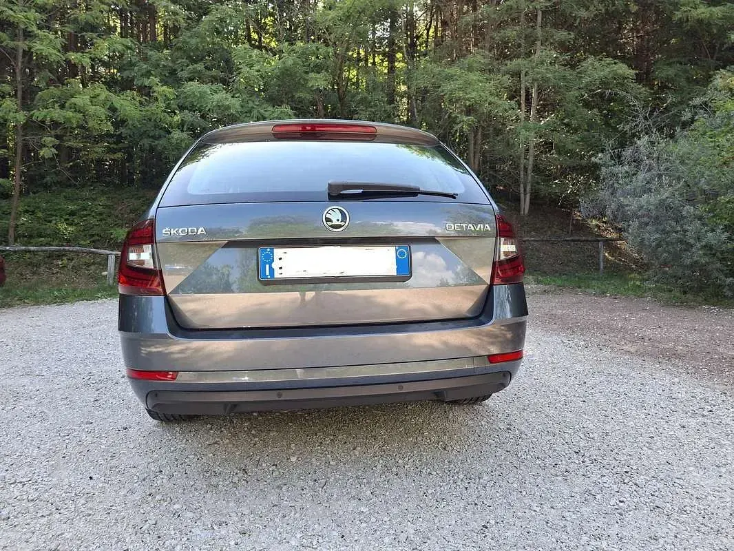 Usata Skoda Octavia Ambition 150 CV (110 kW) 2017 Grigio Station wagon