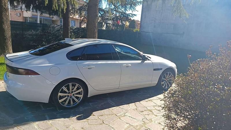Usata Jaguar XF Portfolio 179 CV (131 kW) 2016 Berlina