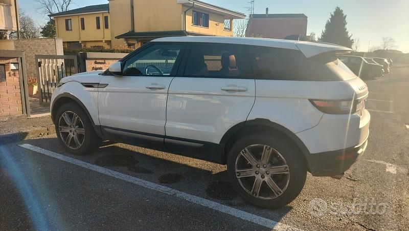 Usata Land Rover Range Rover evoque 2017 Bianco SUV