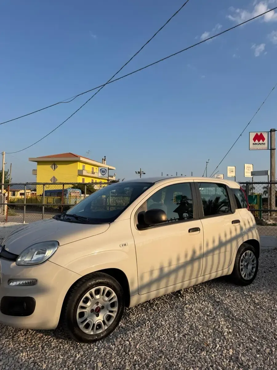 Usata Fiat Panda Lounge 69 CV (50 kW) 2017 Beige Utilitaria