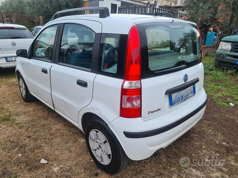 Usata Fiat Panda 54 CV (39 kW) 2004 Bianco Utilitaria