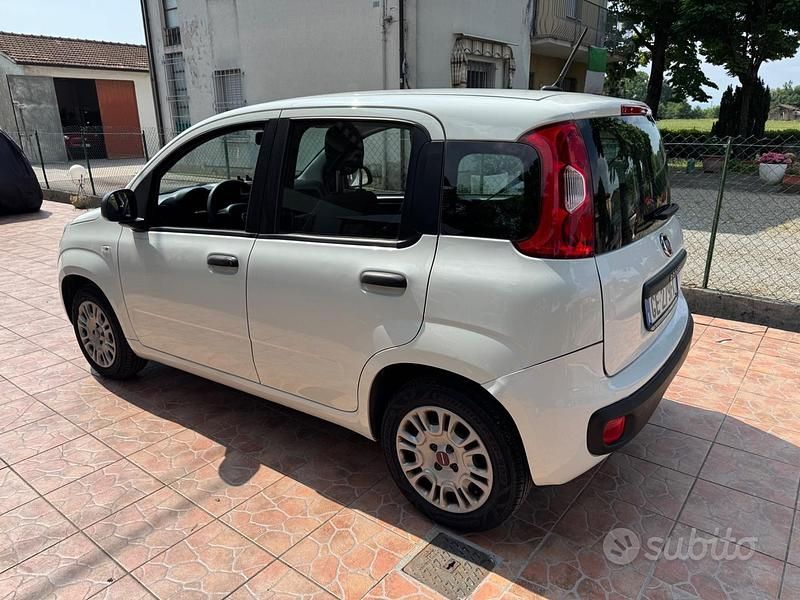Usata Fiat Panda 2021 Utilitaria