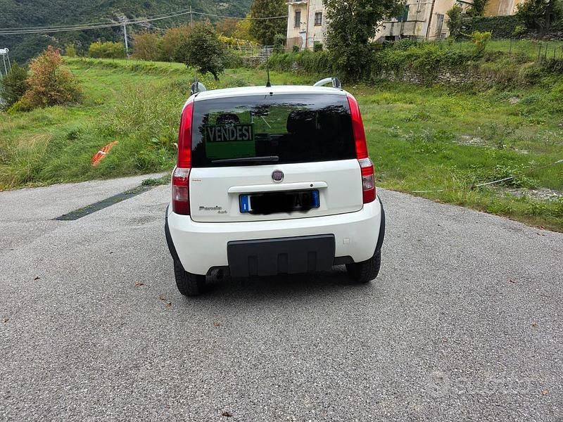 Usata Fiat Panda 4x4 2011 Bianco Utilitaria