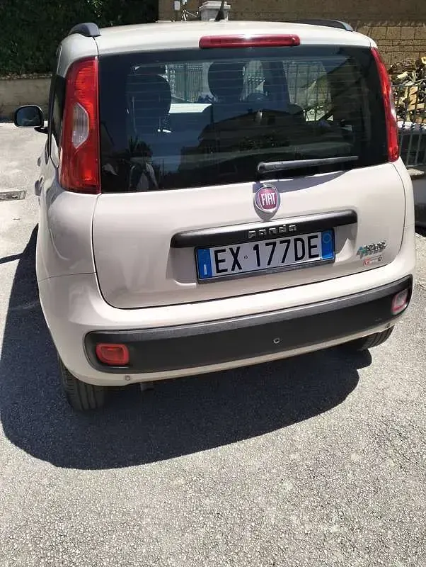 Usata Fiat Panda Easy 85 CV (62 kW) 2014 Bianco Utilitaria