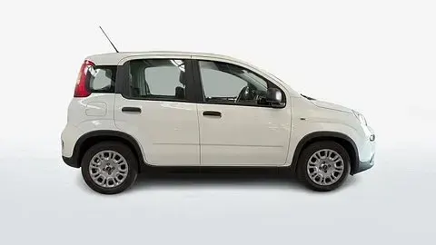 Usata Fiat Panda Easy 69 CV (50 kW) 2024 Bianco Utilitaria