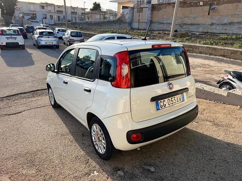 Usata Fiat Panda Easy 70 CV (51 kW) 2021 Bianco Utilitaria