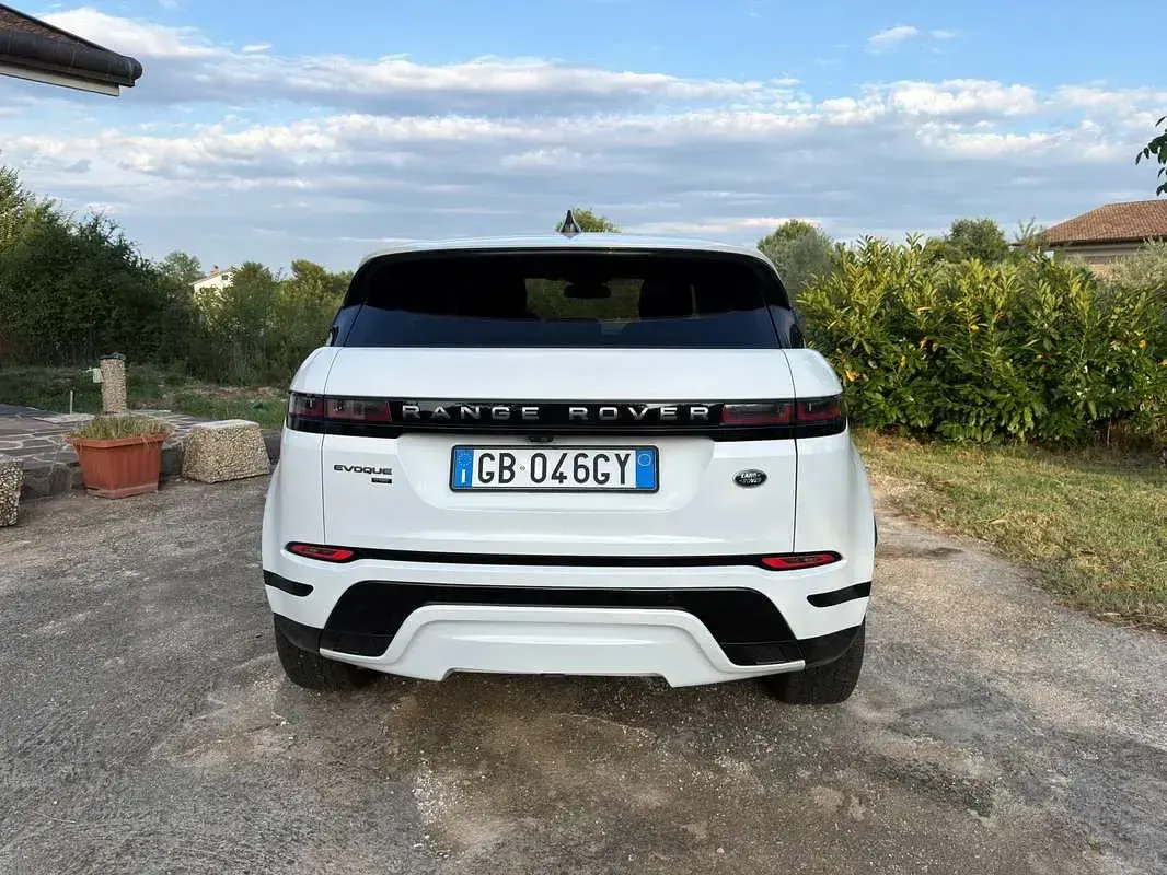Usata Land Rover Range Rover evoque SE Dynamic 179 CV (131 kW) 2020 Bianco SUV