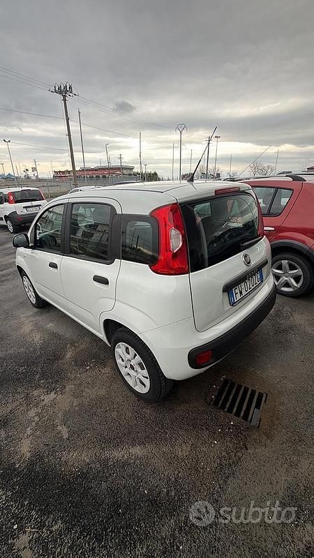 Usata Fiat Panda Easy 70 CV (51 kW) 2019 Bianco Utilitaria