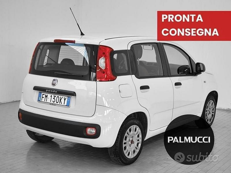 Usata Fiat Panda Easy 69 CV (50 kW) 2017 Other Utilitaria