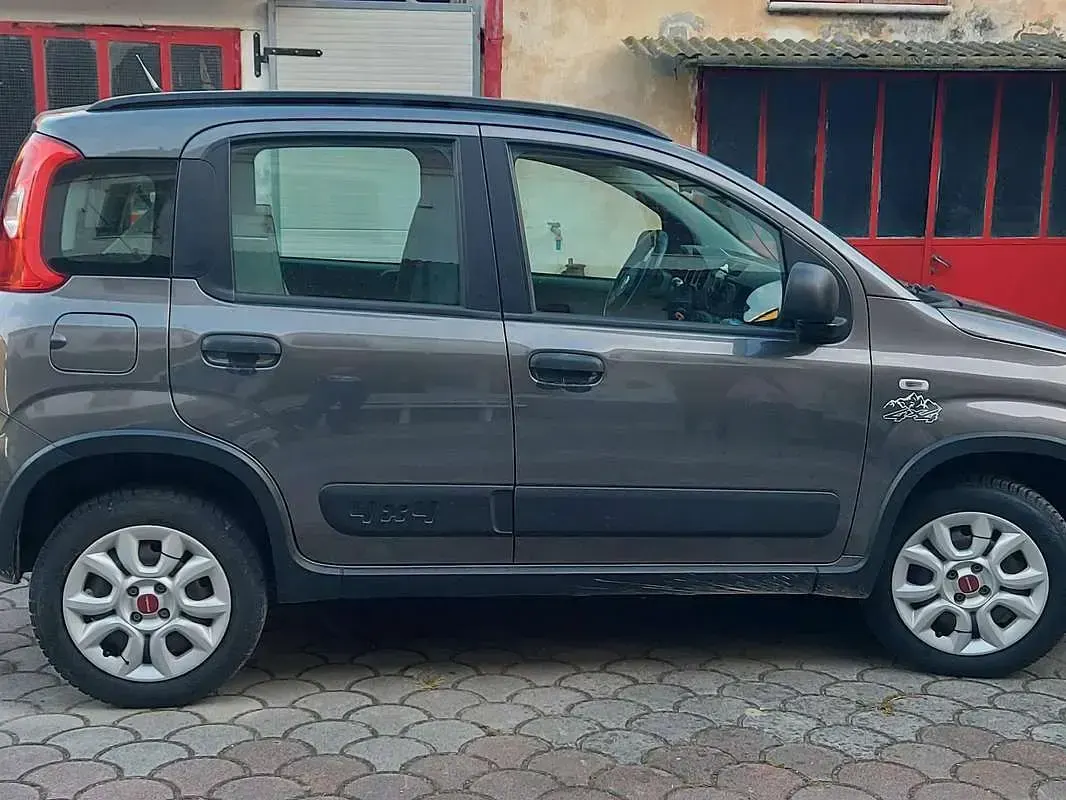 Usata Fiat Panda 4x4 S 86 CV (63 kW) 2019 Grigio Utilitaria