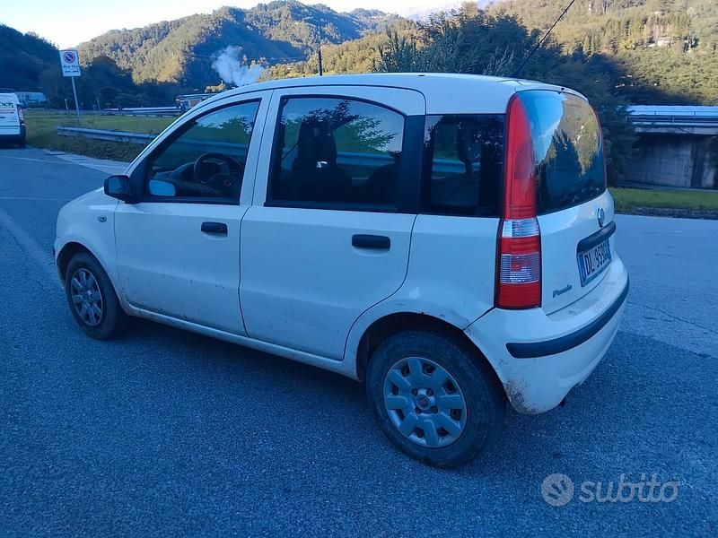 Usata Fiat Panda Active 60 CV (44 kW) 2007 Bianco Utilitaria