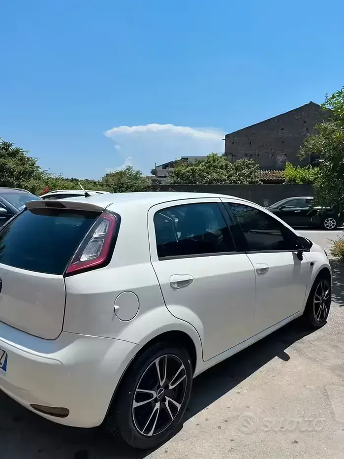 Usata Fiat Punto 85 CV (62 kW) 2012 Bianco Utilitaria