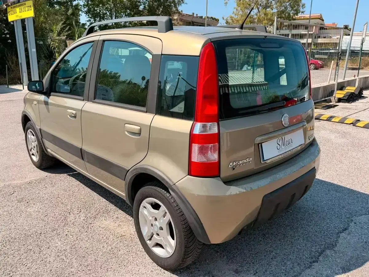 Usata Fiat Panda Climbing 60 CV (44 kW) 2009 Oro Utilitaria