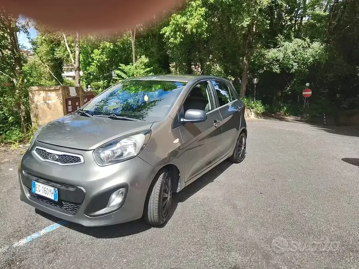Usata Kia Picanto Style 65 CV (47 kW) 2011 Marrone Utilitaria